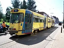PCC 7903 at Silence