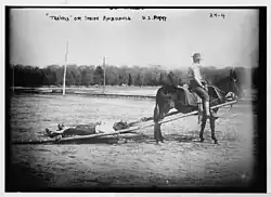 US Army mule and travois "ambulance", circa early 1900s