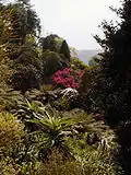 Trebah view