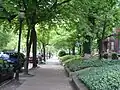 Tree-lined 4th Street