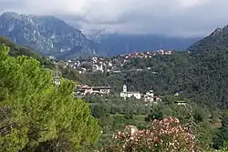 Tremosine