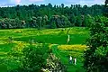 Tring Park