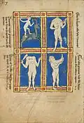 13th-century bestiary leaf