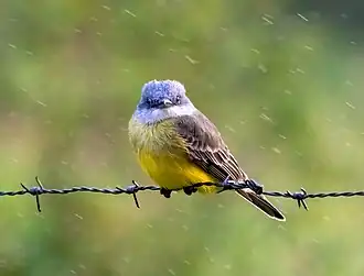 in the rain in Costa Rica