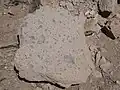 A large tuff floater south of White Rock, New Mexico