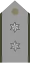 Teniente Ejército EB Pecho