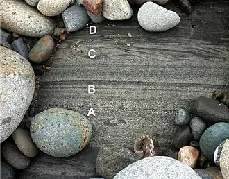 Cretaceous turbidite showing Bouma A-D layers. Pigeon Point Formation, Pescadero Beach, California.