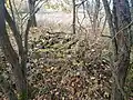 Ruins of a chimney from one of the buildings
