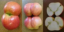 Twin apples