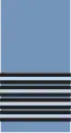 An RAF group captain's sleeve/shoulder insignia