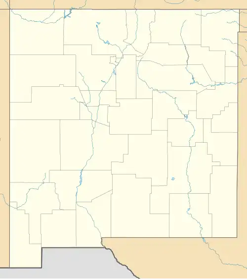 Project Y is located in New Mexico