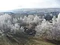 The Kindergarten "Daisy", Uchaly. November 6, 2014.