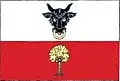 Flag of Ujčov