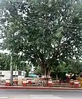 Underbridge at K. G. Koppal