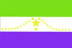 Flag of Usulután