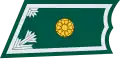 Second Lieutenant
