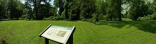 Grassy area