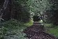 Deer park
