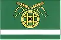 Flag of Velký Borek
