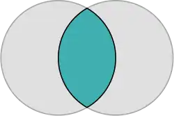Fish bladder