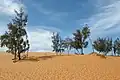 Sand dunes