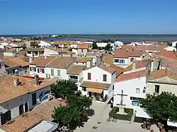 View from the roof