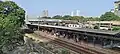 View of the platforms from the Elphinstone Bridge
