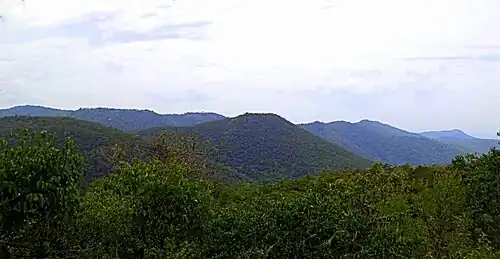 Wooded hills