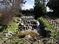 The stream