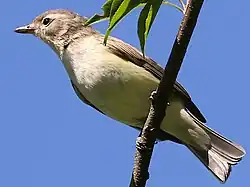 Perched, Illinois