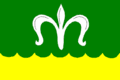 Flag of Nesvačilka