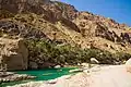Wadi Tiwi