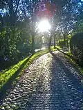 Old Moat on the Bollenberg