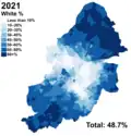 White (48.7%)