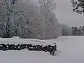near Amery on a winter morning
