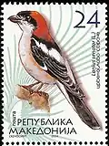 On a stamp of Macedonia (now North Macedonia)