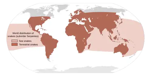 Approximate world distribution of snakes.