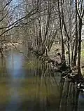 Wustrauer Rhin in Fehrbellin-Wustrau