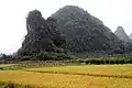 Farming between karst peaks
