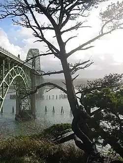 Image 6Engineer Conde McCullough designed many of Oregon's bridges, including the Yaquina Bay Bridge in Newport. (from History of Oregon)