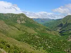 Yeghegis