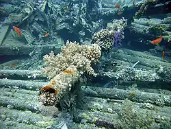 More pipes