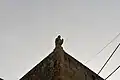Statue of St. Roque
