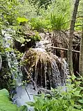 Cascade close-up