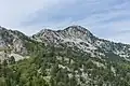 Peak and its surrounding evergreen forest