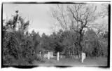Bellfield Cemetery