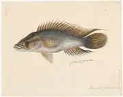 Print from 1828
